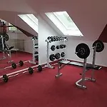 Wincent Gmbh